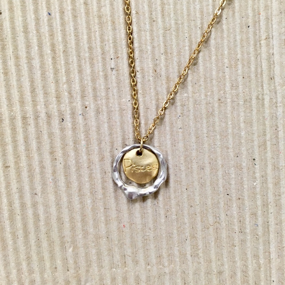 🦋 NWOT lovely and unique! Pisces necklace